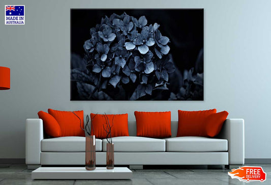 Hydrangea Flowers on Dark View Photograph Print 100% Australian Made