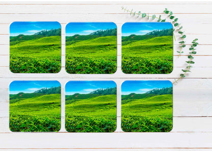 Scenery of Tea Plantation in Indonesia Coasters Wood & Rubber - Set of 6 Coasters