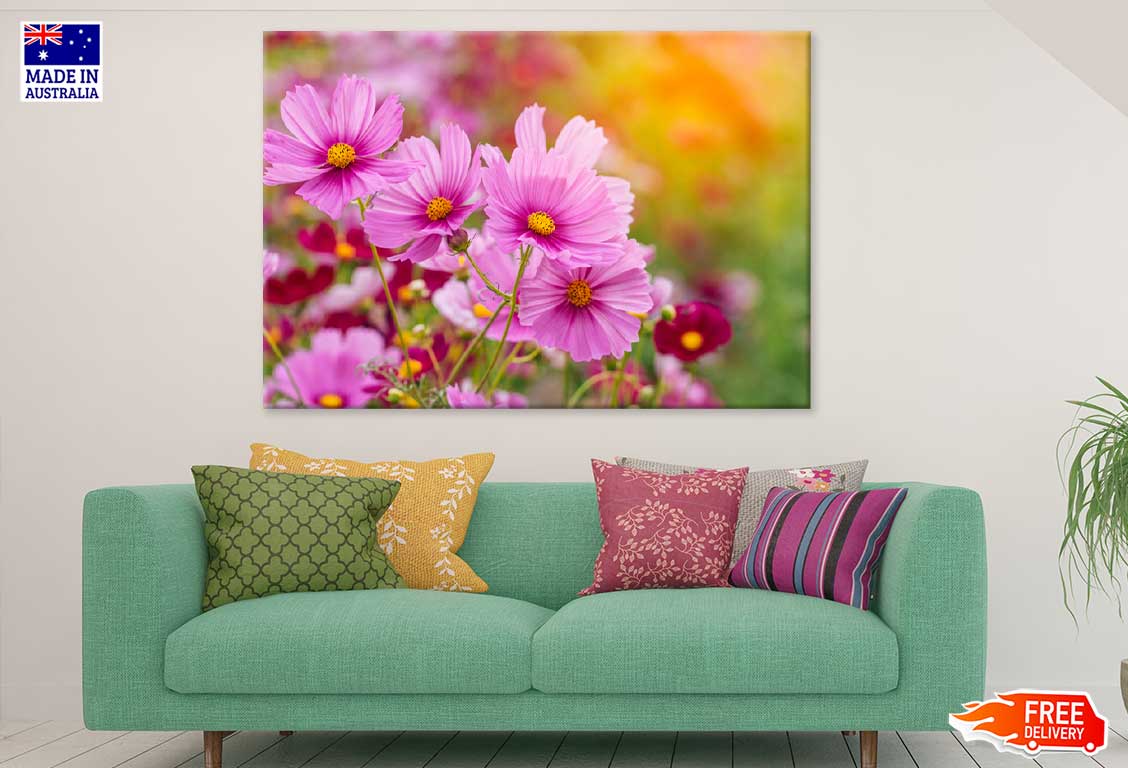 Pink Cosmos Flowers Closeup View Photograph Print 100% Australian Made