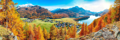 Panoramic Canvas Autumn Trees on Hill View Photograph High Quality 100% Australian Made Wall Canvas Print Ready to Hang