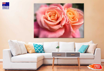 Rose Gold Flowers Closeup View Photograph Print 100% Australian Made