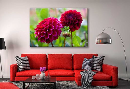 Bella Home Red Dahlia Flowers With Flower Buds Print Canvas Ready to hang