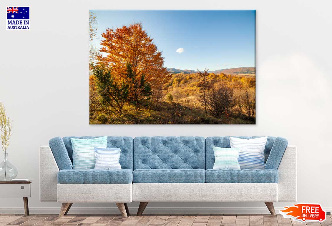 Orange Autumn Tree on Hill & Sky Scenery View Print 100% Australian Made