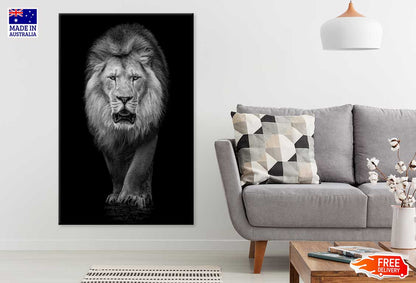 Lion on Dark Portrait B&W View Photograph Print 100% Australian Made