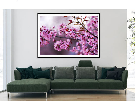 Prunus Tree Pink Flowers Branch Photograph Home Decor Premium Quality Poster Print Choose Your Sizes