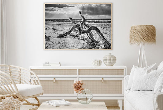 Tree Root on Baltic Sea B&W View Home Decor Premium Quality Poster Print Choose Your Sizes