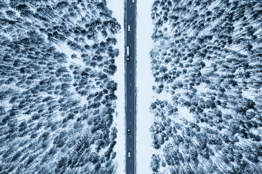 Snow Covered Fir Trees Road View Photograph Print 100% Australian Made