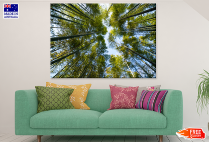 Below Trees & Sky View Photograph Print 100% Australian Made