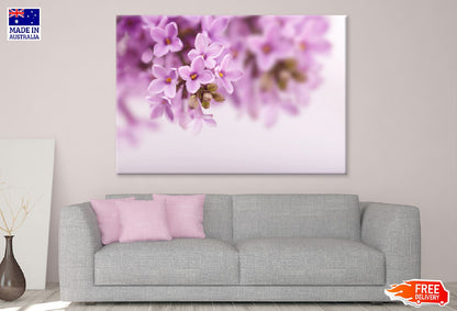 Spring Lilac Flowers Closeup View Photograph Print 100% Australian Made