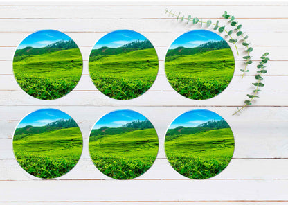 Scenery of Tea Plantation in Indonesia Coasters Wood & Rubber - Set of 6 Coasters