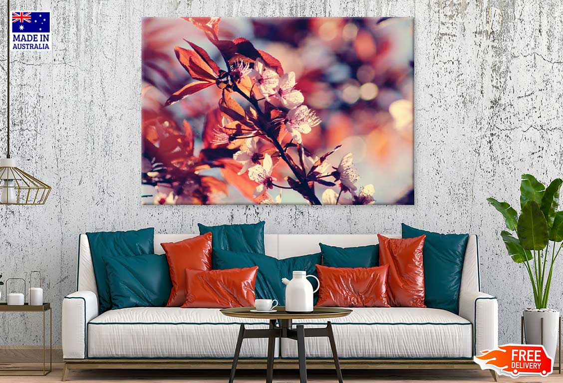 Cherry Blossoms with Leaves View Photograph Print 100% Australian Made