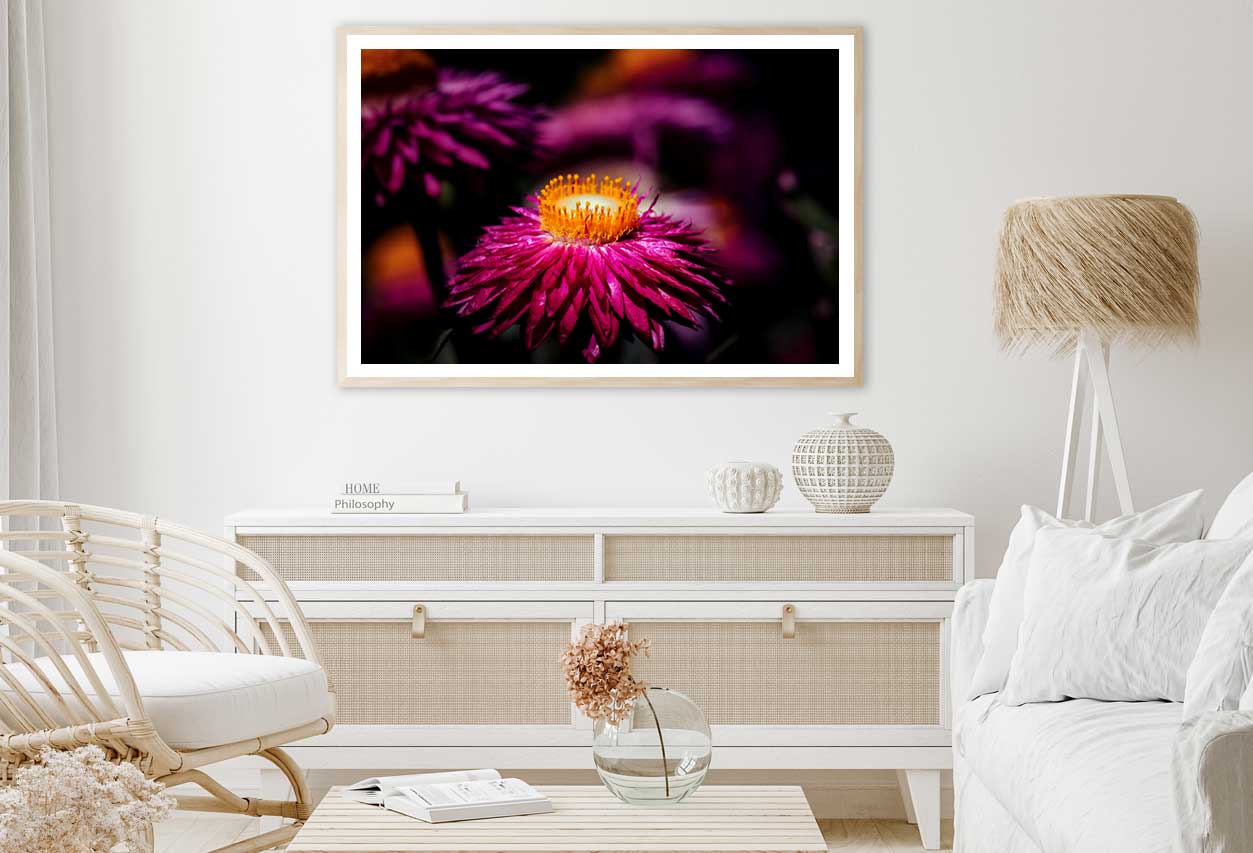 Daisy Red Flower on Dark View Photograph Home Decor Premium Quality Poster Print Choose Your Sizes