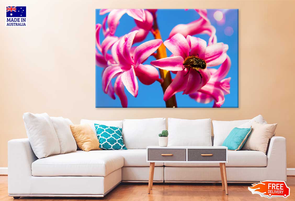 Pink Hyacinth Flowers & Blue Sky View Photograph Print 100% Australian Made