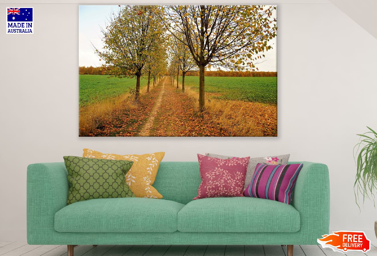 Autumn Trees & Footpath Photograph Print 100% Australian Made