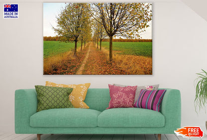 Autumn Trees & Footpath Photograph Print 100% Australian Made