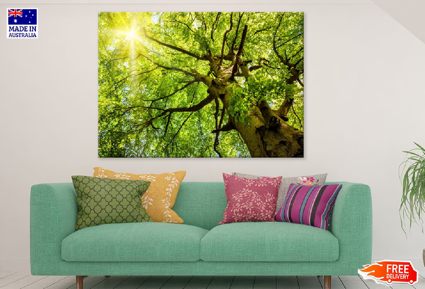 Beech Treetop Sunshine Scenery Photograph Print 100% Australian Made