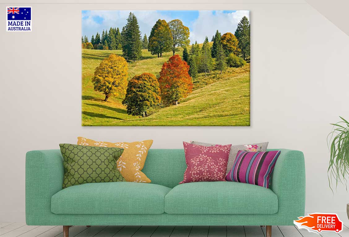 Trees on Green Mountain Hill View Photograph Print 100% Australian Made