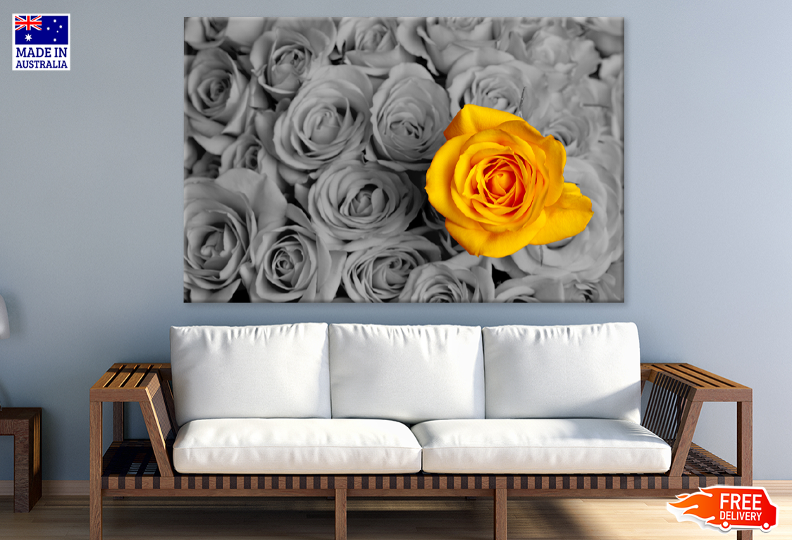 Yellow & B&W Rose Flower Photograph Print 100% Australian Made