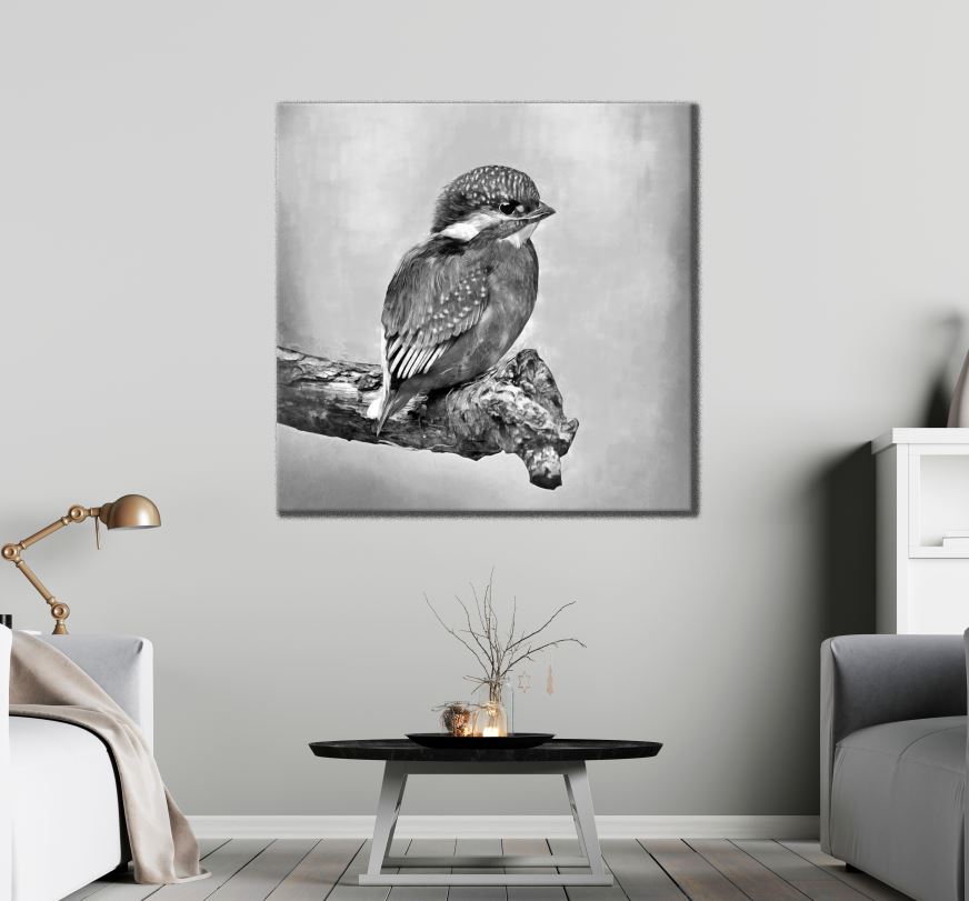 Square Canvas Small Bird B&W Photograph High Quality Print 100% Australian Made