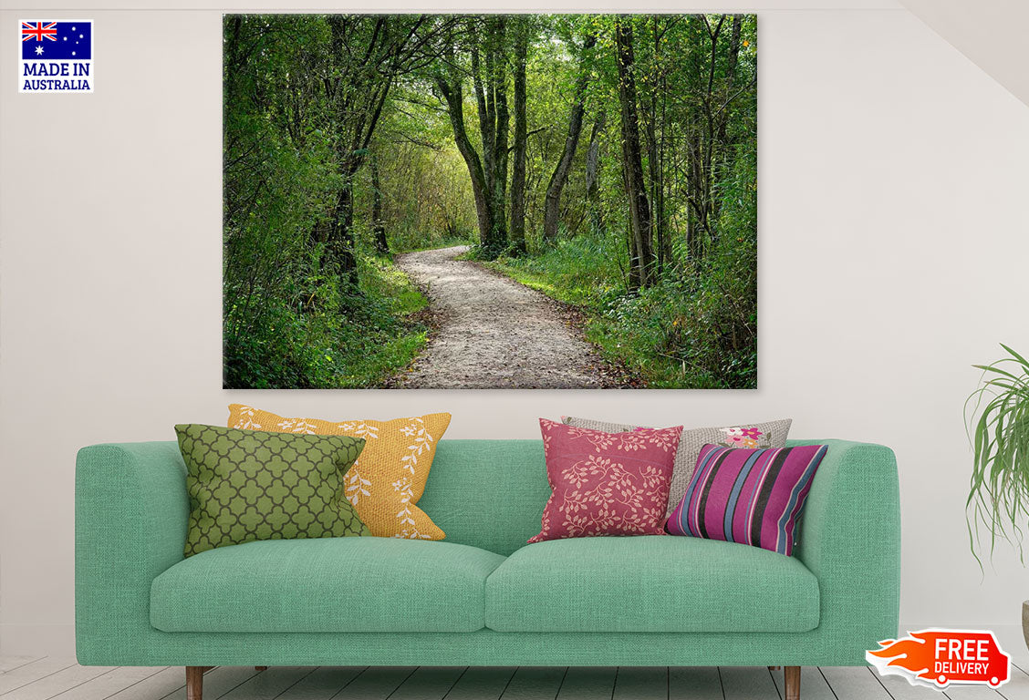 Road in Forest Photograph Print 100% Australian Made