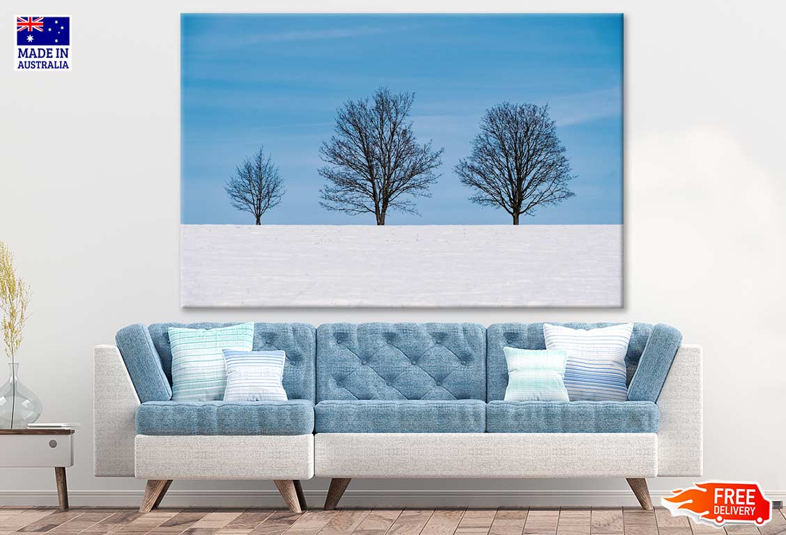 Trees & Snow Covered Ground Photograph Print 100% Australian Made