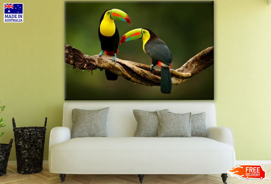 Toucan Birds Sitting on a Branch in the Forest Photograph Print 100% Australian Made