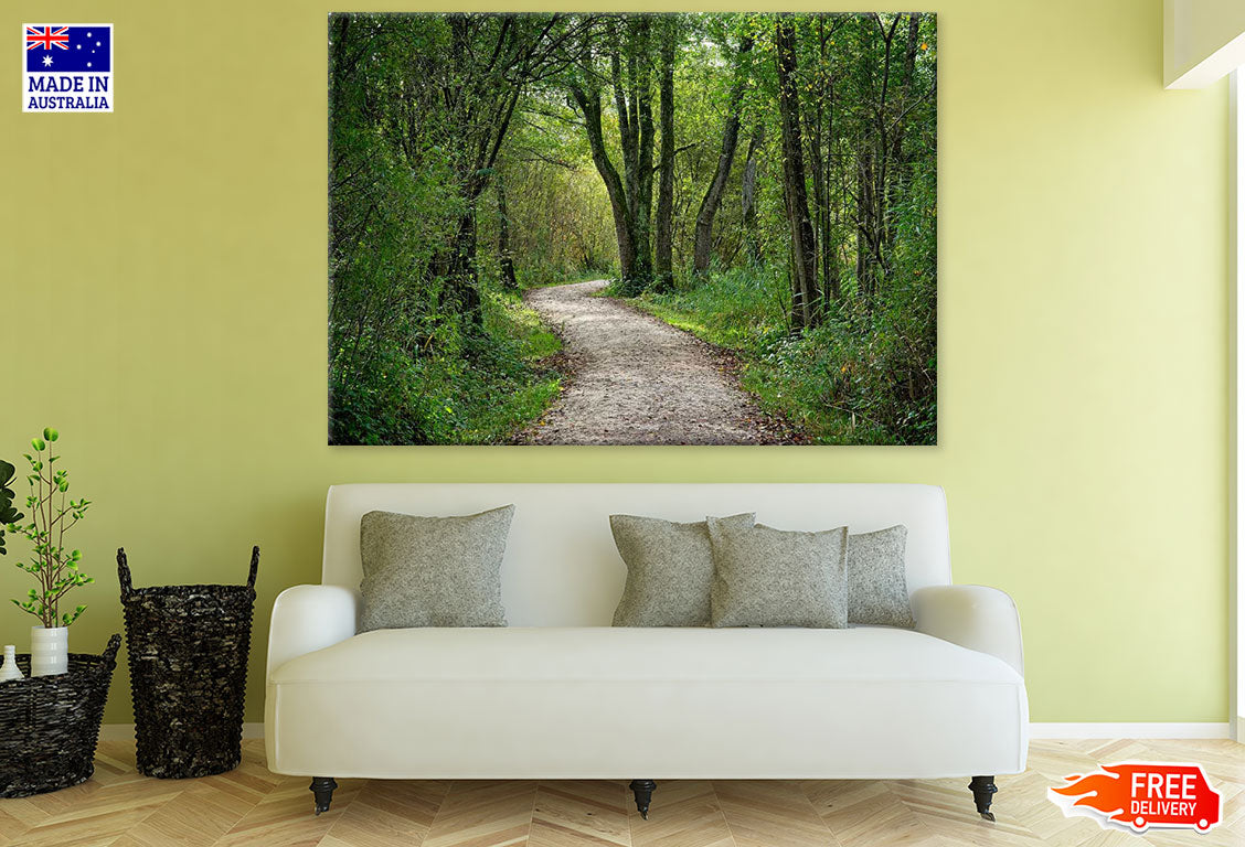 Road in Forest Photograph Print 100% Australian Made