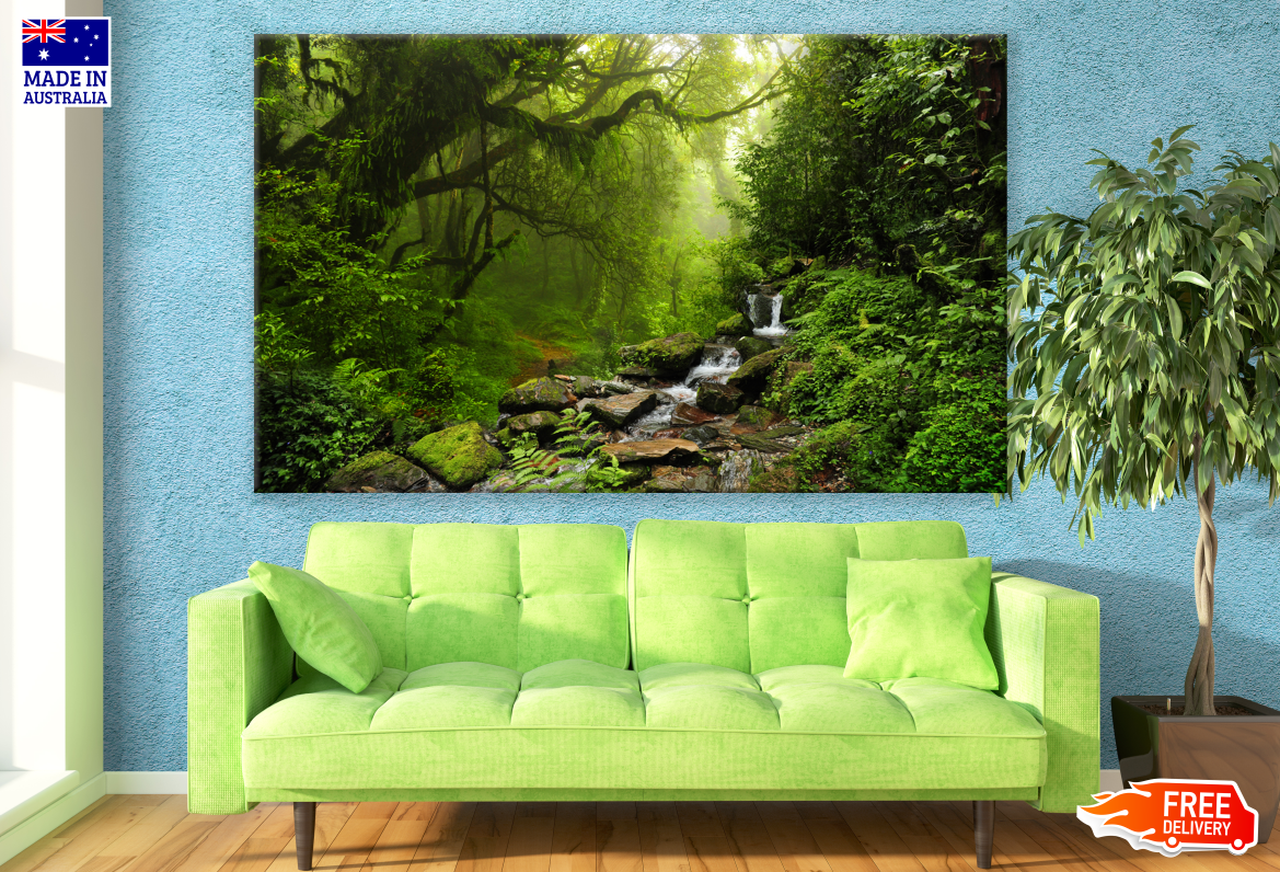 Stunning Forest Photograph Print 100% Australian Made