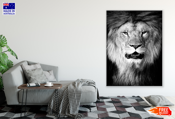 Lion Face Portrait Photograph Black & White Print 100% Australian Made