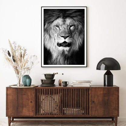 Lion Portrait B&W Photograph Home Decor Premium Quality Poster Print Choose Your Sizes