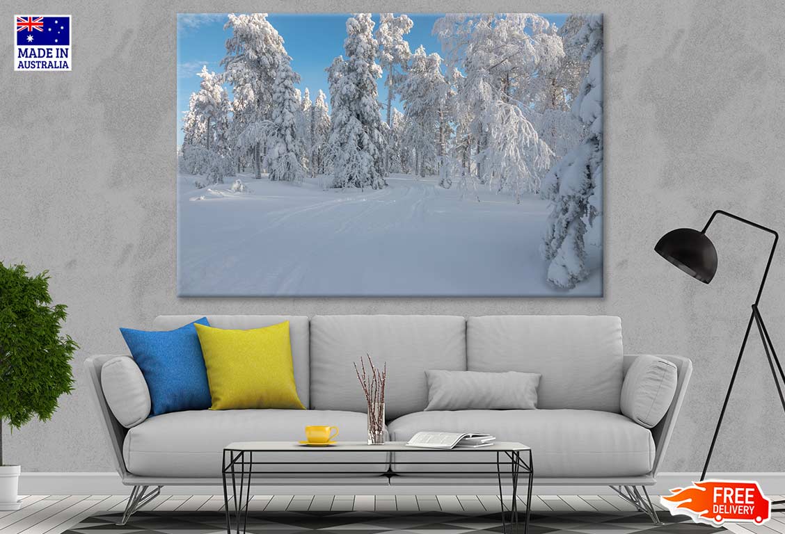 Snow Covered Trees Photograph Print 100% Australian Made