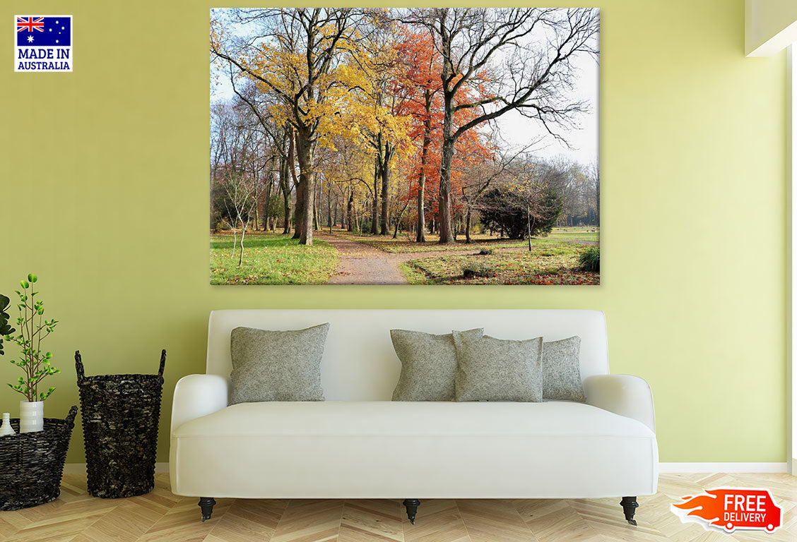 Autumn Trees in Field Photograph Print 100% Australian Made