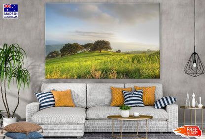 Trees on Green Grass Field Photograph Print 100% Australian Made