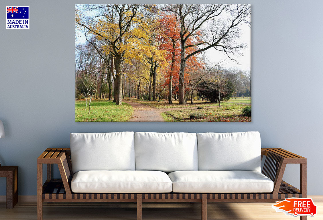 Autumn Trees in Field Photograph Print 100% Australian Made