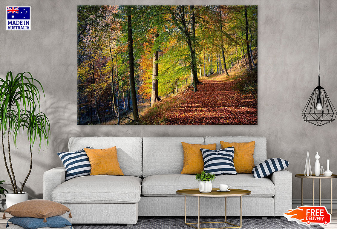 Autumn Forest Photograph Print 100% Australian Made