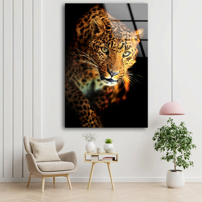 Leopard Closeup Photograph Acrylic Glass Print Tempered Glass Wall Art 100% Made in Australia Ready to Hang