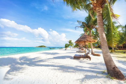 Koh Lipe Beach with Palm Trees Photograph Print 100% Australian Made