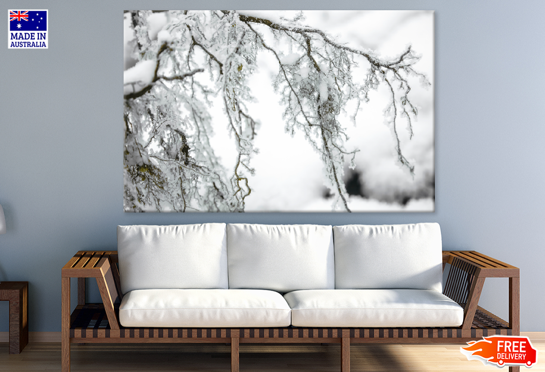 Snow Covered Tree B&W Photograph Print 100% Australian Made