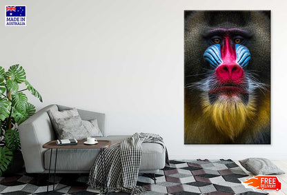 Colorful Baboon Closeup View Photograph Print 100% Australian Made