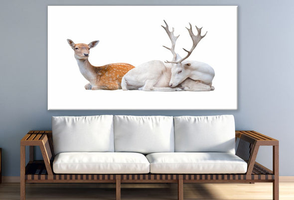 White Deer & Brown Deer Laying on ground Print 100% Australian Made