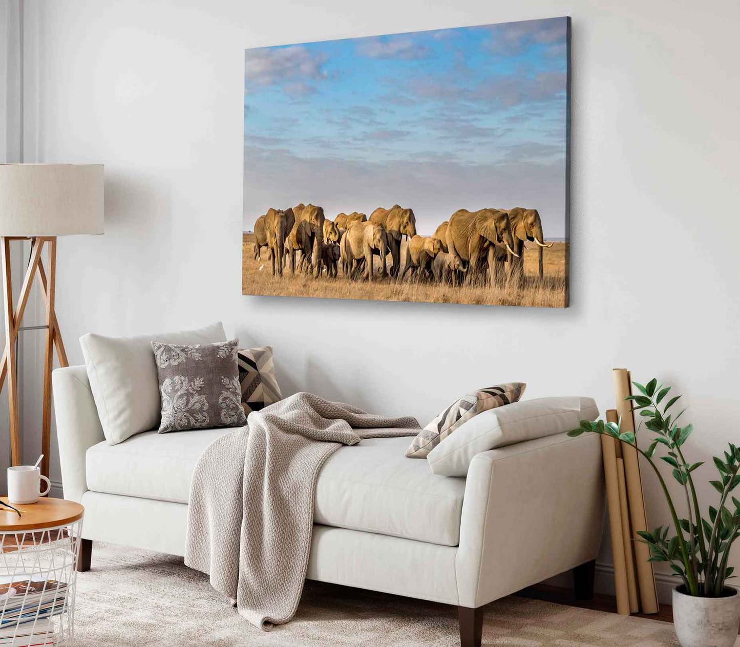 Bella Home Elephants on The Grass Field Print Canvas Ready to hang