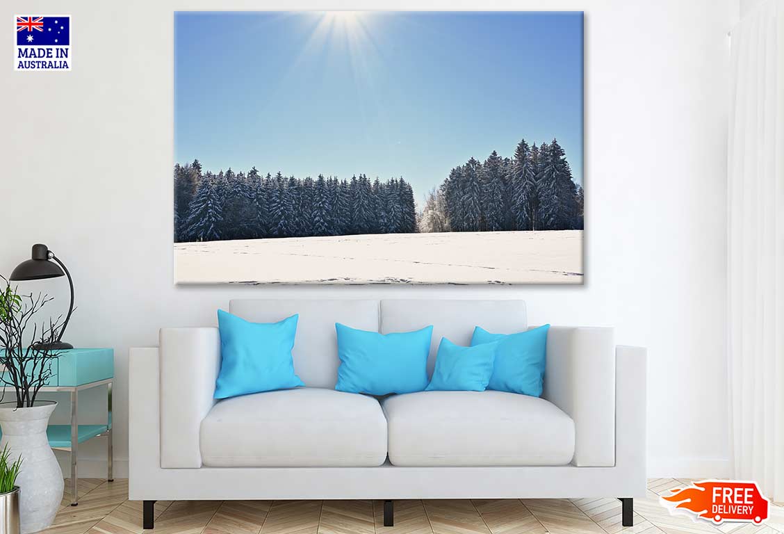 Snow Covered Pine Tree Forest Photograph Print 100% Australian Made