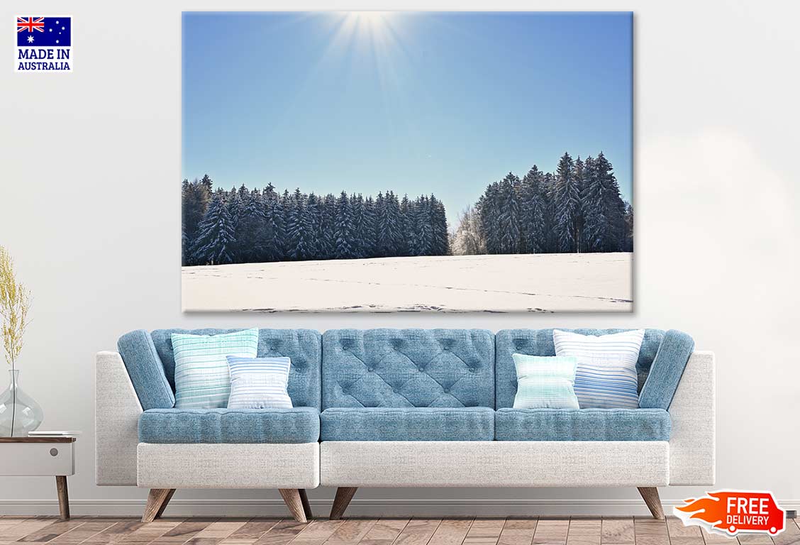 Snow Covered Pine Tree Forest Photograph Print 100% Australian Made