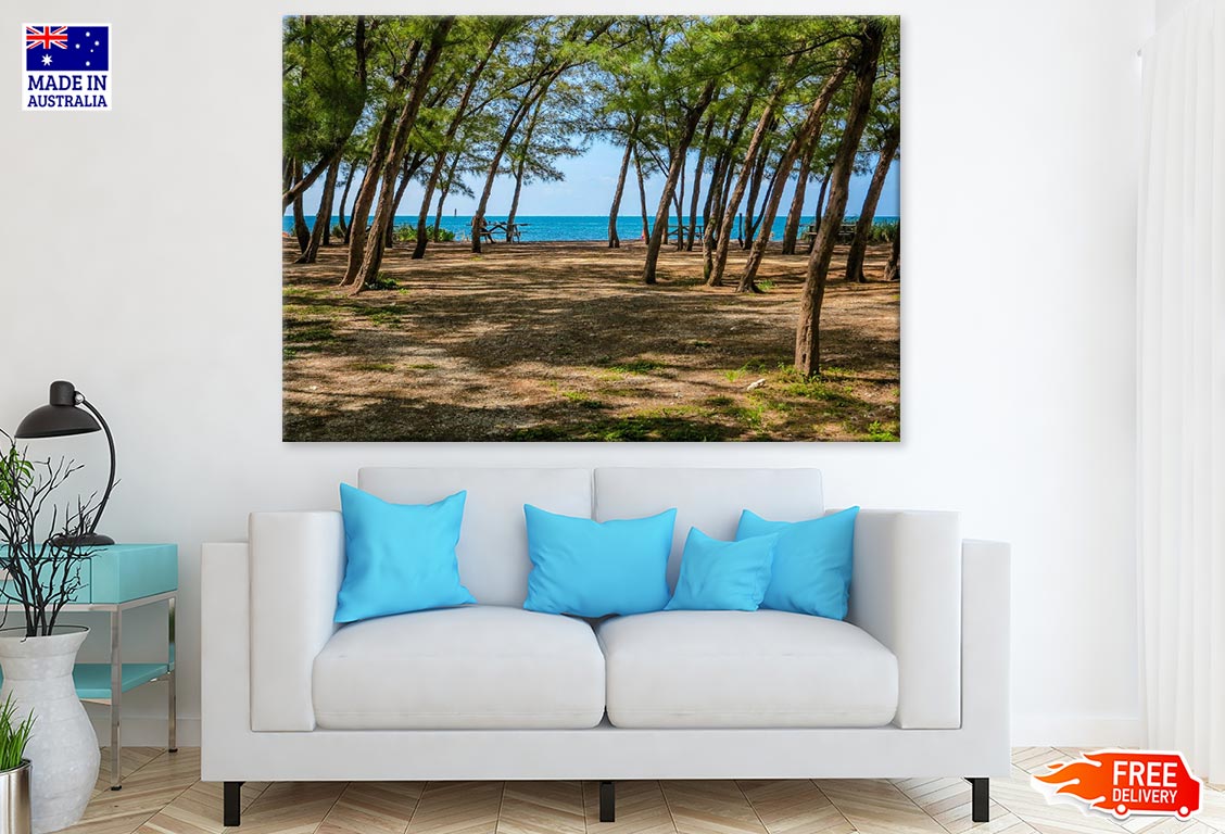 Trees Near Sea Photograph Print 100% Australian Made