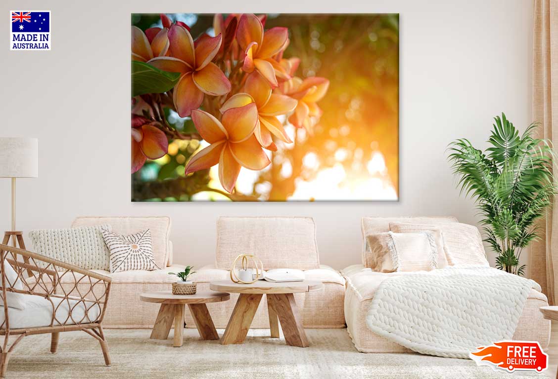 Yellow Plumeria Flowers Sunset View Photograph Print 100% Australian Made