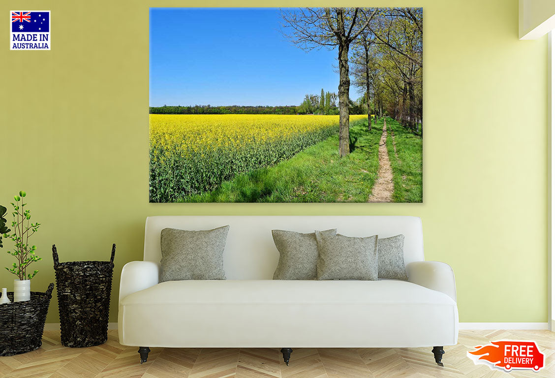 Yellow Flower Field & Trees Row Photograph Print 100% Australian Made