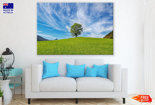 Lonely Tree on Mountain Photograph Print 100% Australian Made