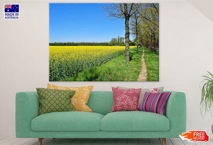 Yellow Flower Field & Trees Row Photograph Print 100% Australian Made