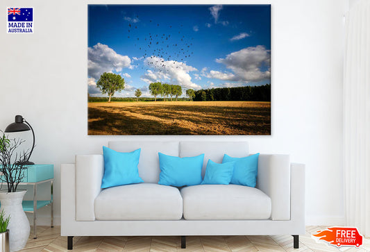 Tree Row & Birds Flying Photograph Print 100% Australian Made