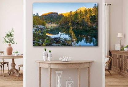Bella Home River by the Forest & Sunset View Print Canvas Ready to hang